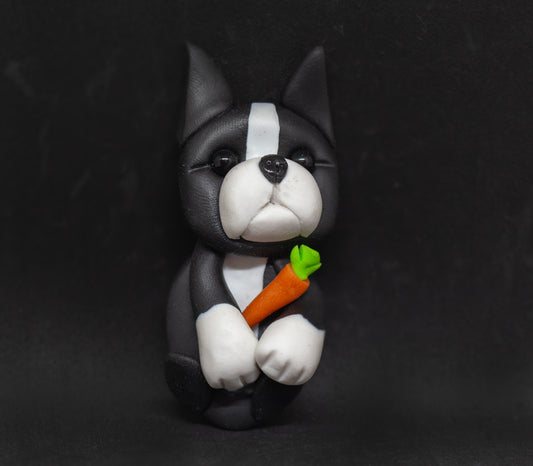 Boston Carrot Magnet (Seconds)